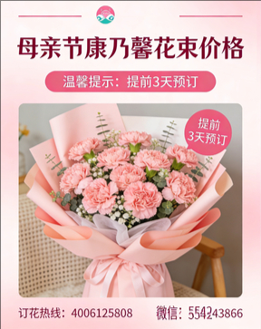 焦作马村区花店母亲节康乃馨花束