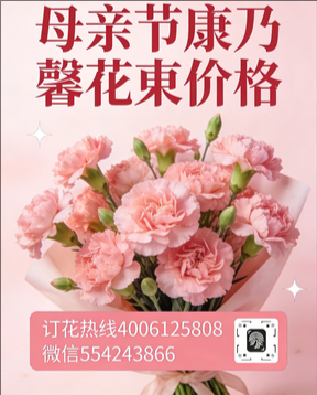 焦作马村区花店母亲节康乃馨花束