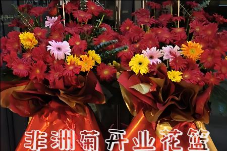 焦作马村区开业花篮